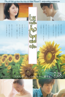 Kimi no Suizo wo Tabetai LIVE ACTION - Let Me Eat Your Pancreas, I Want to Eat Your Pancreas, TÔI MUỐN ĂN TỤY CỦA CẬU (2017)
