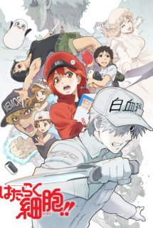 Hataraku Saibou!! - Cells at Work!!, Cells at Work! 2nd Season, Hataraku Saibou 2nd Season (2021)