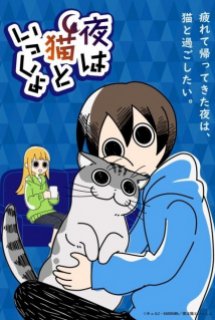 Yoru wa Neko to Issho - Nights with a Cat, Zutto Neko Shoshinsha,